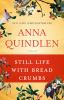 Book cover for "Still life with bread crumbs"