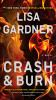 Book cover for "Crash & burn".