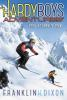 Book cover for "Peril at Granite Peak".