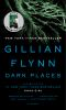 Book cover for "Dark places"