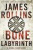 Book cover for "The bone labyrinth".