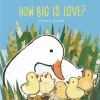 Book cover for "How big is love?".