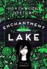 Book cover for "Enchantment Lake"