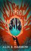 Book cover for "A mirror mended".