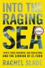 Book cover for "Into the raging sea"