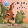 Book cover for "Bright star"