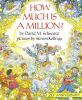 Book cover for "How much is a million?"