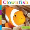 Book cover for "Clownfish".