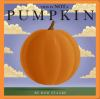 Book cover for "This is not a pumpkin"