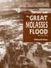 Book cover for "The Great Molasses Flood"