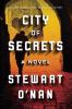 Book cover for "City of secrets"