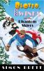 Book cover for "Blotto, Twinks and the phantom skiers".