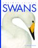 Book cover for "Swans".