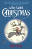 Book cover for "A boy called Christmas"