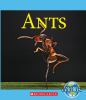 Book cover for "Ants".