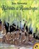 Book cover for "Rabbits & raindrops"