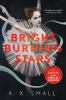 Book cover for "Bright burning stars"