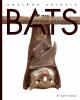 Book cover for "Bats".