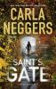 Book cover for "Saint's gate".