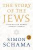 Book cover for "The story of the Jews"