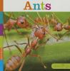 Book cover for "Ants".