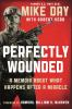 Book cover for "Perfectly wounded"