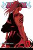 Book cover for "Bleach".