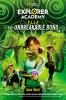 Book cover for "The unbreakable bond".