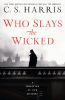 Book cover for "Who slays the wicked".
