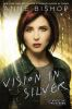 Book cover for "Vision in silver".