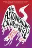 Book cover for "The astonishing color of after"