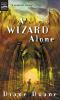 Book cover for "A wizard alone"