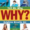 Book cover for "Dolphins breathe air".