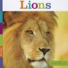 Book cover for "Lions".