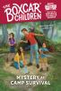 Book cover for "Mystery at Camp Survival".