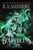 Book cover for "Boundless".