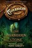 Book cover for "The forbidden stone"