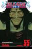 Book cover for "Bleach".