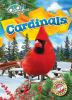 Book cover for "Cardinals".