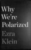 Book cover for "Why we're polarized"