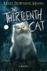Book cover for "The thirteenth cat"