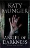 Book cover for "Angel of darkness"