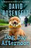 Book cover for "Dog day afternoon".