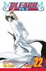 Book cover for "Bleach".