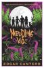 Book cover for "Meddling kids"