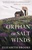 Book cover for "The orphan of Salt Winds"