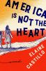 Book cover for "America is not the heart"