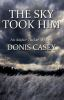 Book cover for "The sky took him".