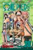 Book cover for "One piece".