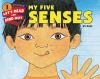 Book cover for "My five senses".